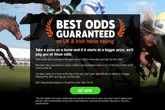 888sport nz horse racing