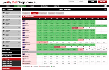 Bet Dogs Greyhound betting
