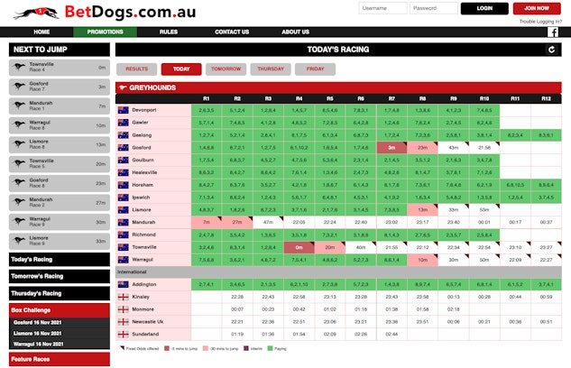 Bet Dogs Greyhound betting