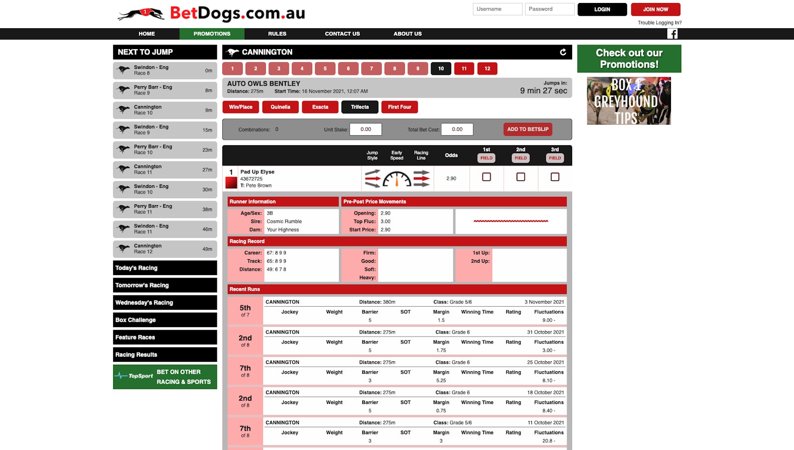Bet Dogs Trifecta Full Form