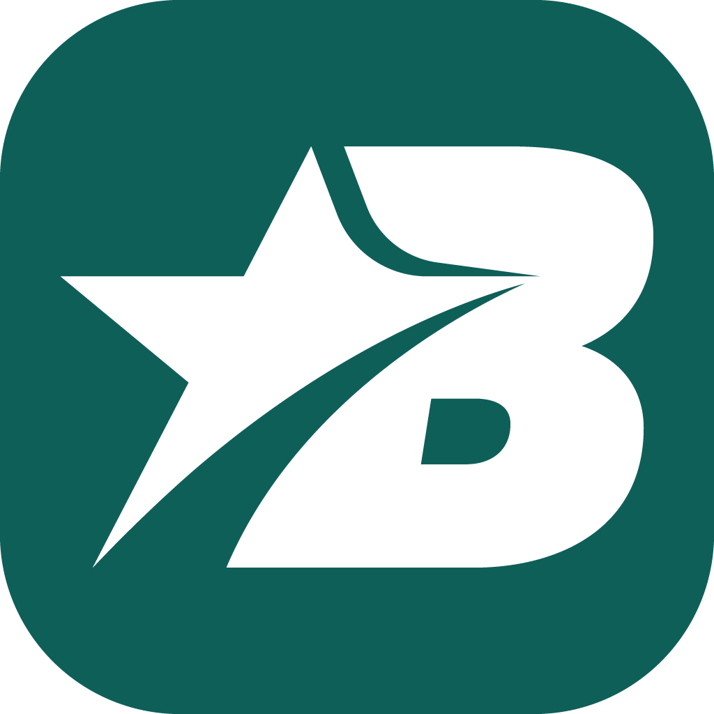 Bet Fusion square logo