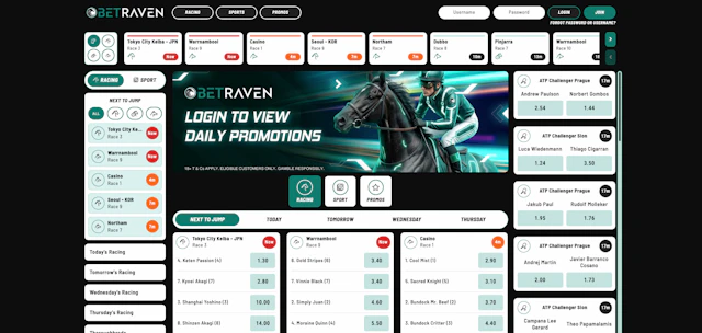 Bet Raven Homepage Screenshot