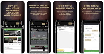 Bet MGM Ontario App