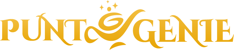 Punt genie logo