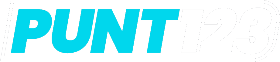 Punt123 logo white