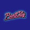 PuntCity square logo