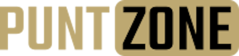 Puntzone logo