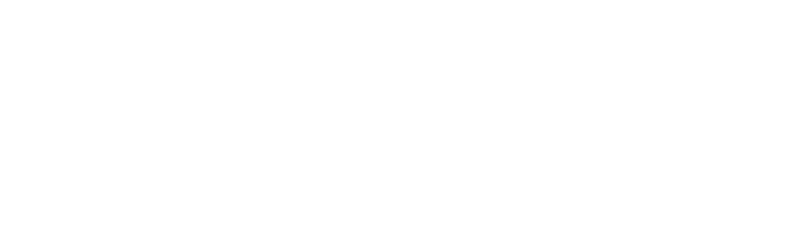 Vikingbet logo white