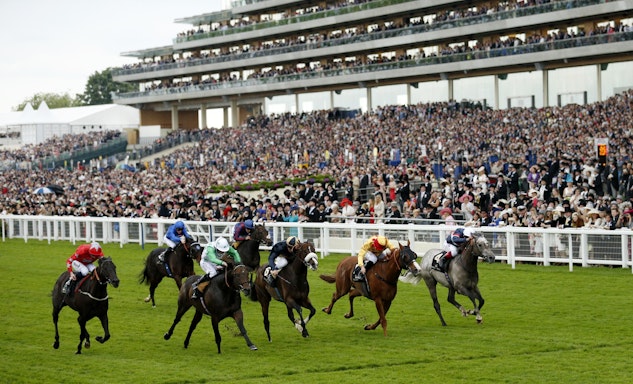 Horse Racing betting Canada Grand National