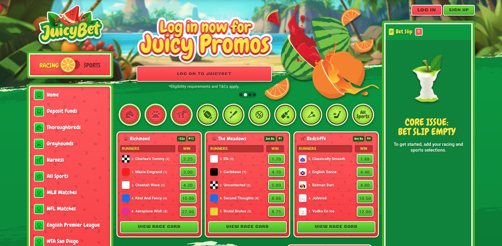 Juicy Bet Website