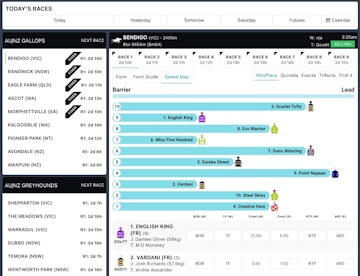 User placing a horse racing bet on the Real Bookie website