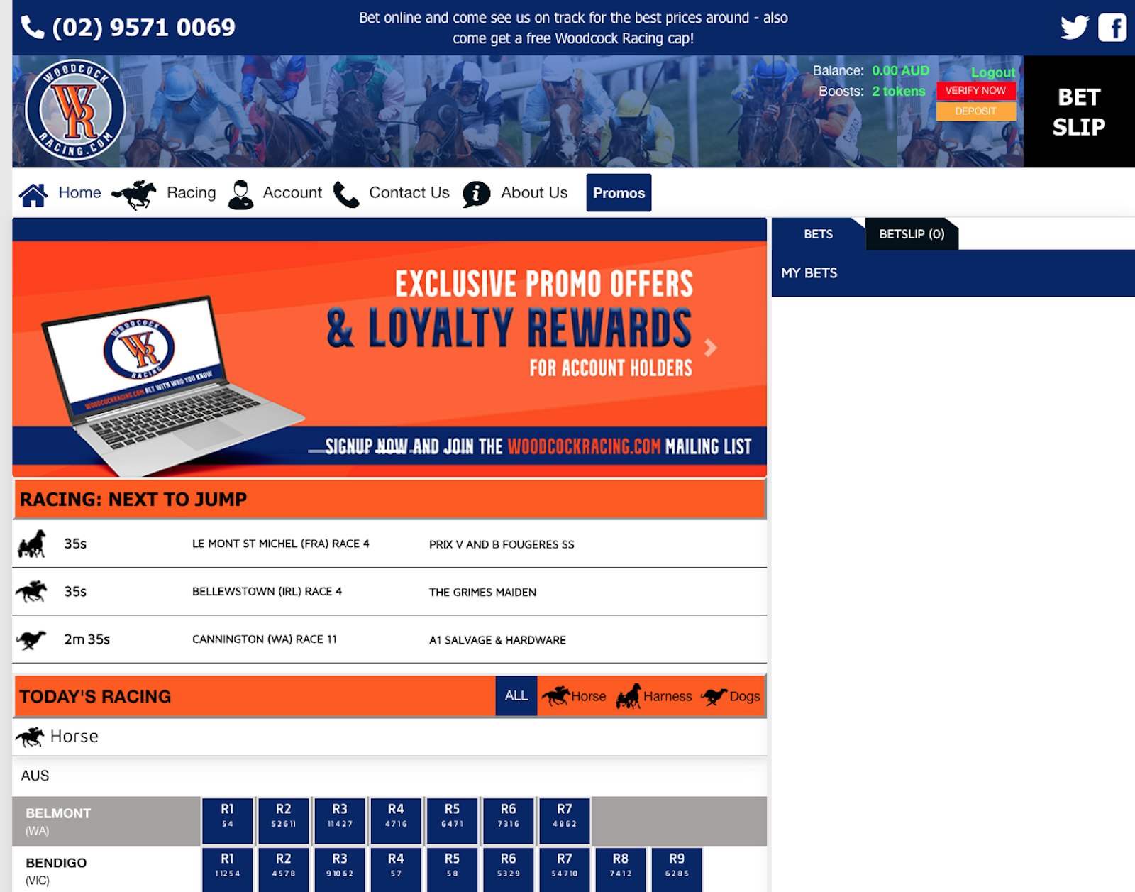 Woodcock Racing Website