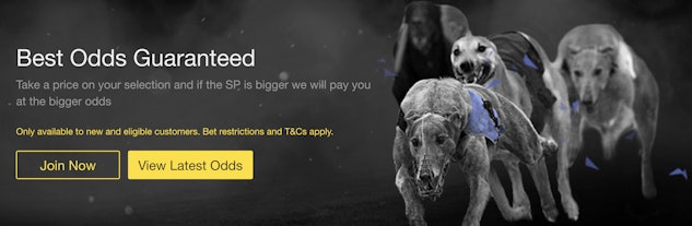Online Greyhound Betting Sites Online Greyhound Betting Sites