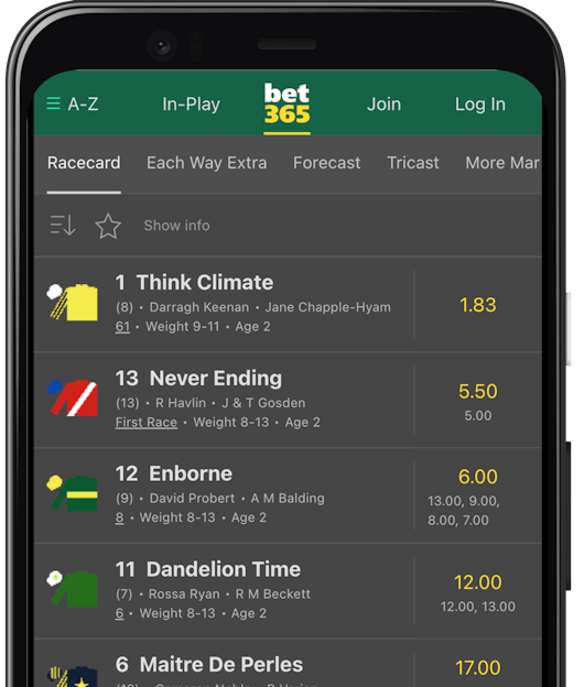 Bet365 horse racing raceard shown on google pixel 4 new