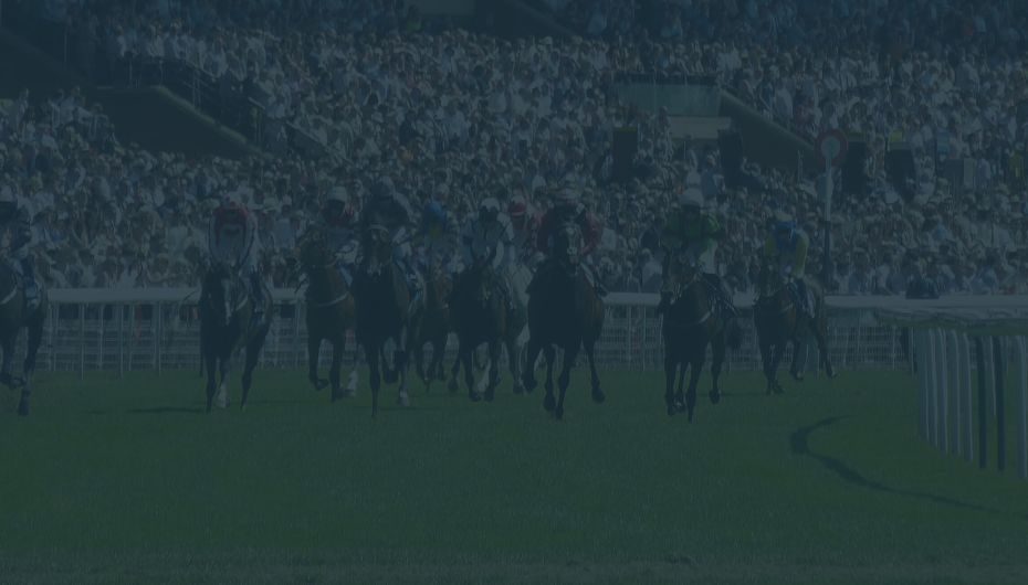 British Horse Racing news piece