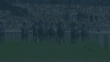 British Horse Racing news piece