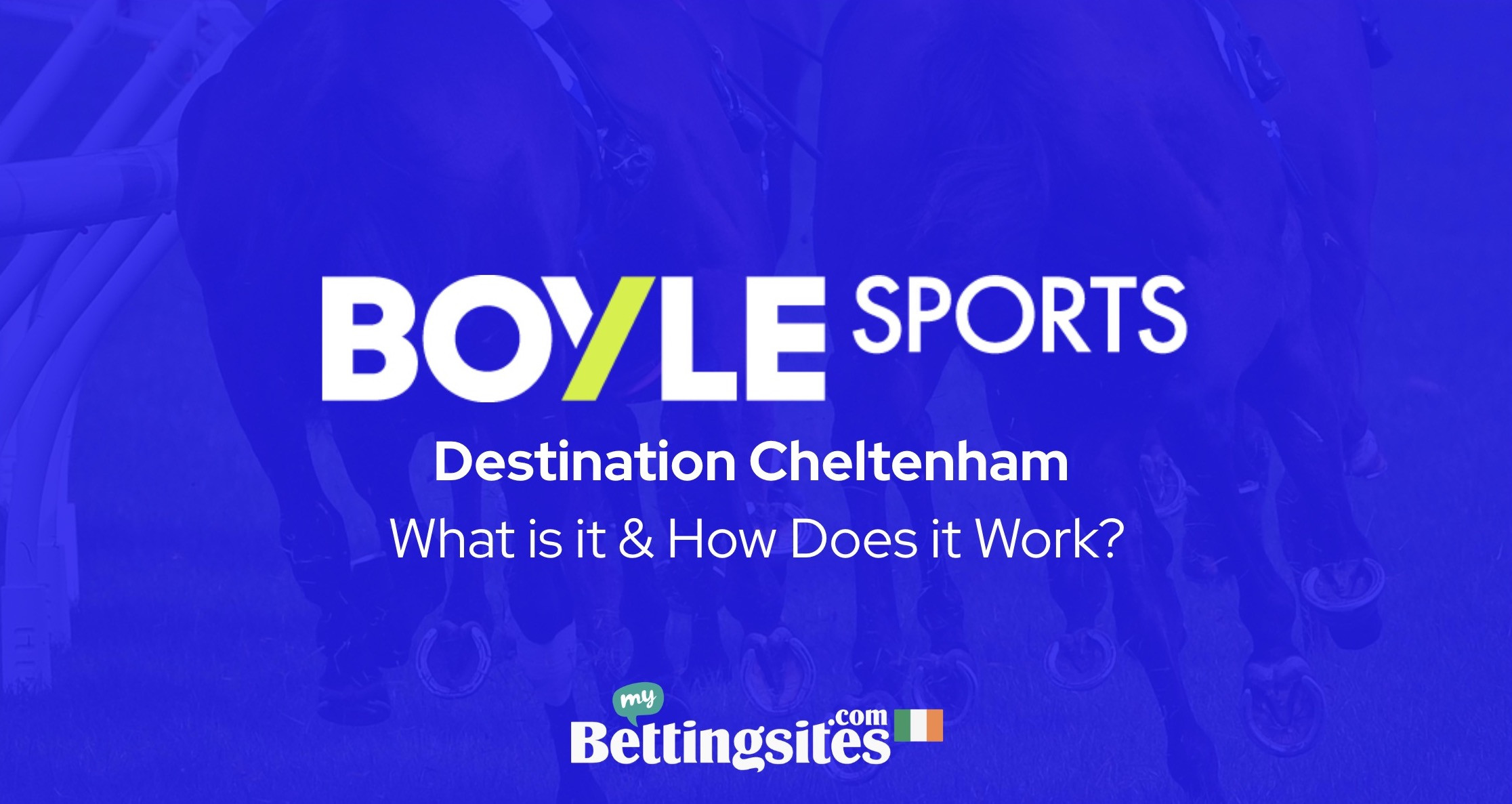 BOYLE Sports Destination Cheltenham promotion what is it and how does it work