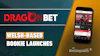 Dragon Bet launches in Ireland