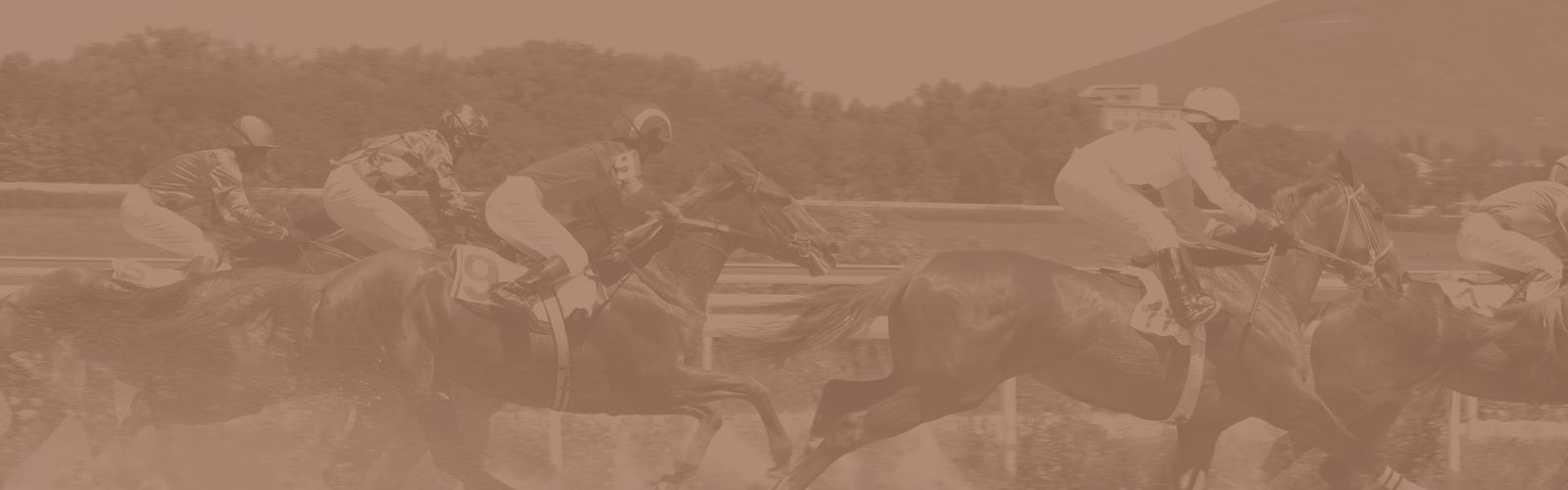 Horse Racing betting sites in Canada cover image