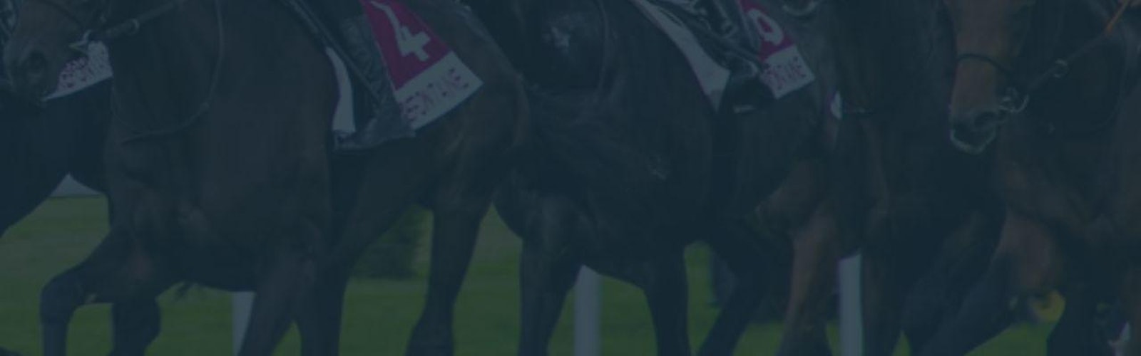Horse racing betting sites banner