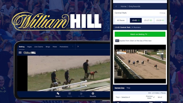 Image showing William Hill greyhound live streaming mobile screenshots on google pixel