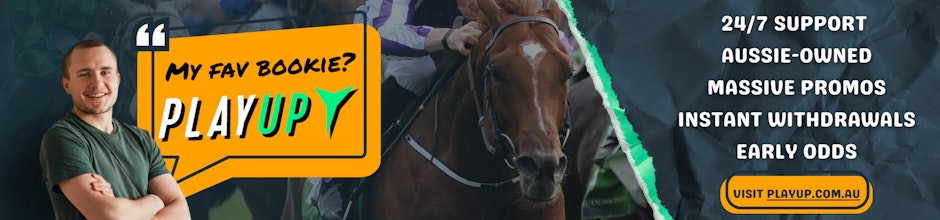 Play Up Promo Banner