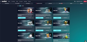 Novibet CA Promotions on Desktop