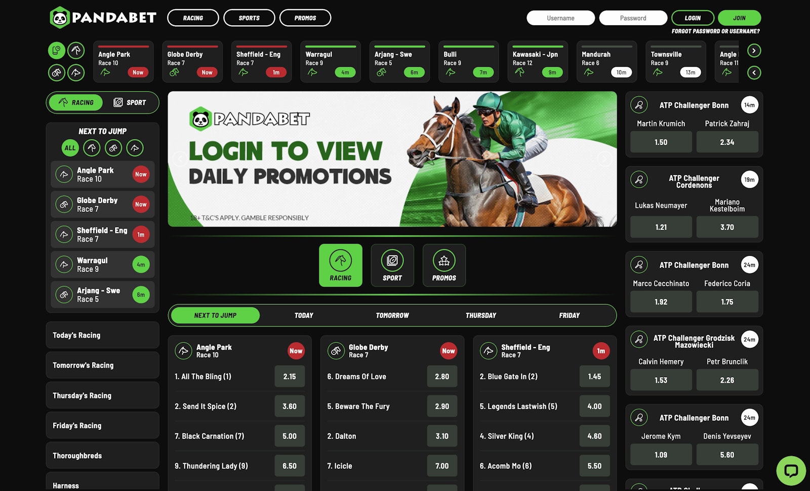 Panda Bet Australia Homepage