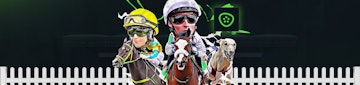 Picklebet Horses Graphic