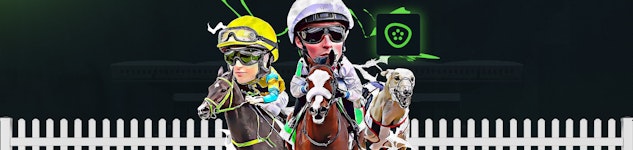 Picklebet Horses Graphic