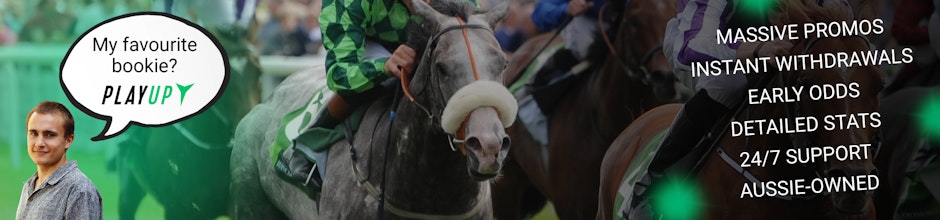 Play Up Promo Banner