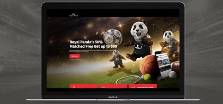 Royal Pandas betting bonus landing page open on a macbook air