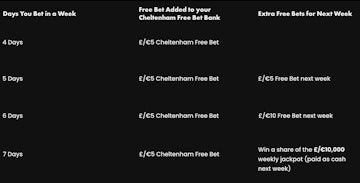 Screenshot of rewards breakdown for BOYLE Sports Destination Cheltenham 2026