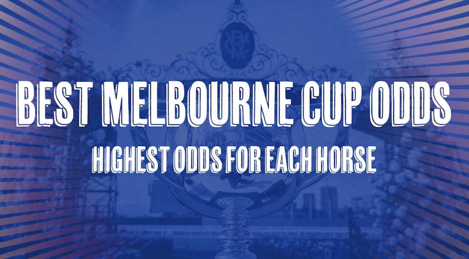 Melbourne Cup Odds Comparison Top 3 Odds for Each Runner (Nov 2024)