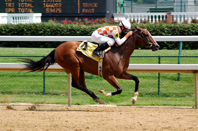 Horse racing betting sites canada