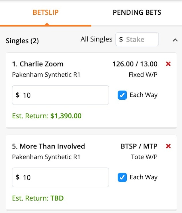 How to bet on melbourne cup each way