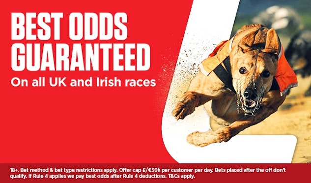 Greyhound Racing Betting Sites