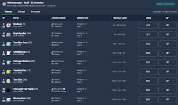 Copybet horse racing