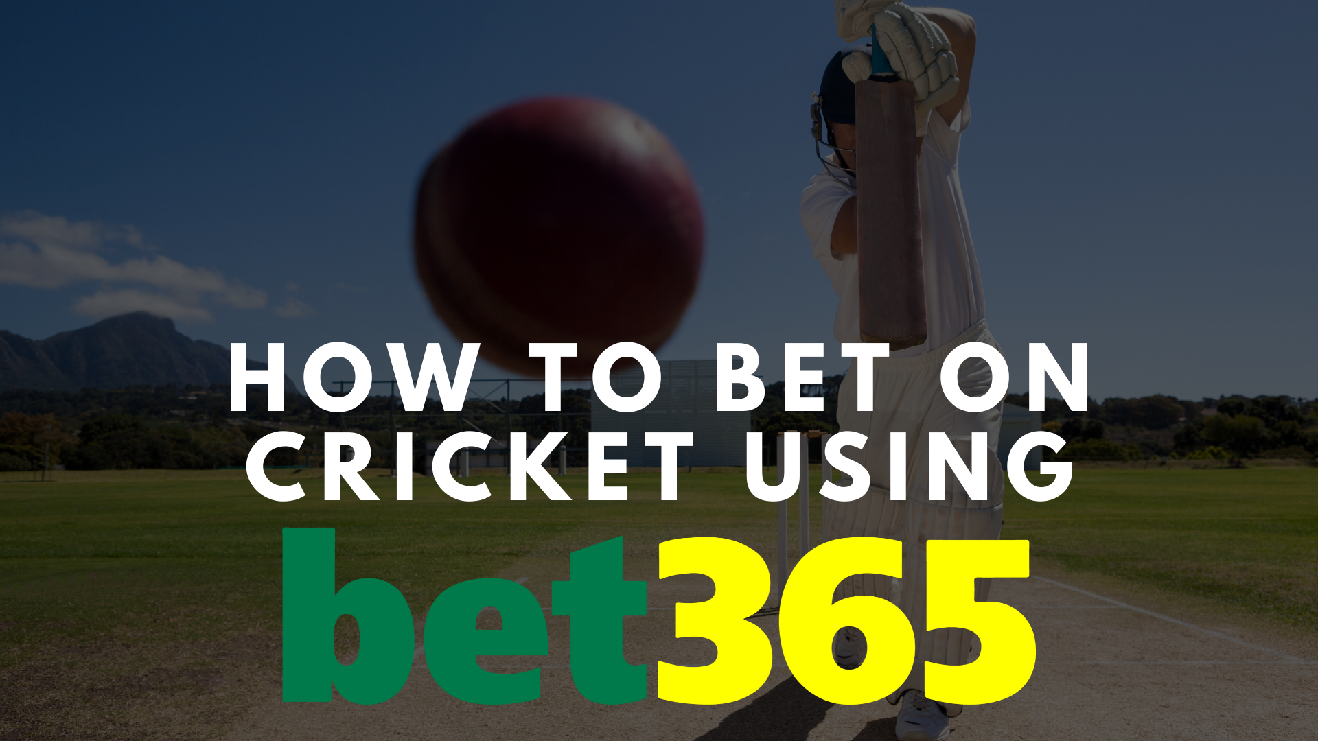 Bet365 Cricket - How to Bet on Cricket using Bet365? (Best Guide 2023)