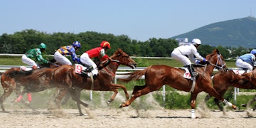 Horse Racing Image