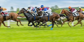Horse racing betting image 2