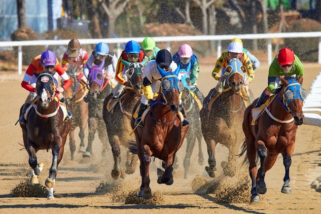 How to bet on horse racing NZ