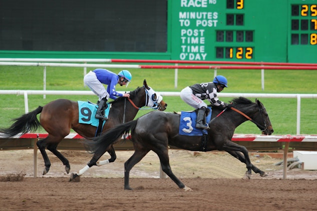 Leo Vegas Horse Racing Betting