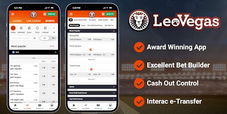 Leo Vegas card header 2