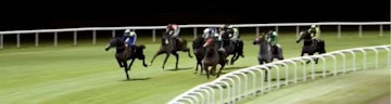 Live Virtual Horse Racing on William Hill