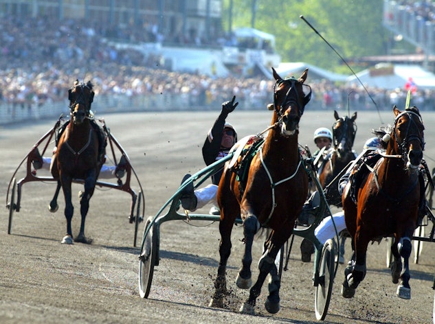 NZ Harness racing