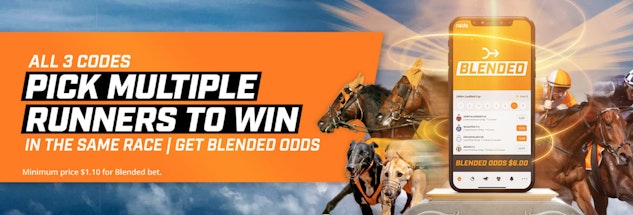 Neds same race multis