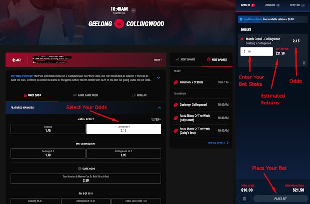 Points Bet Placing A Bet