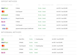 Rizk NZ Payment Methods
