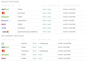 Rizk NZ Payment Methods
